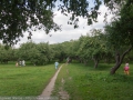 Дьяковский яблоневый сад