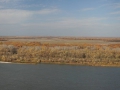 Вид на Усть-Медведицкий природный парк