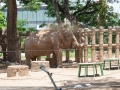 Слон принимает пылевую ванну